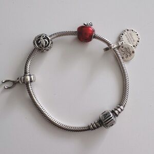 Pandora Bracelet x Charms